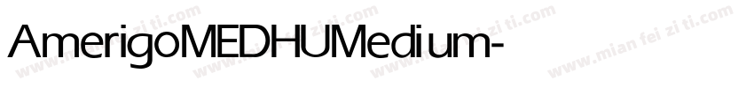 Amerigo MEDHU Medium字体转换